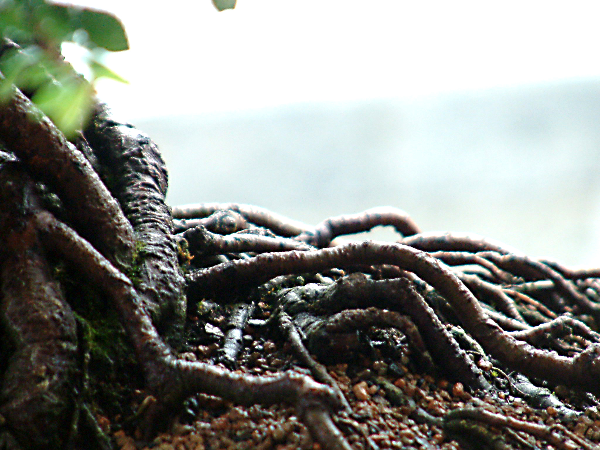 What to do with the stuff you've outgrown